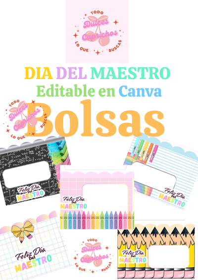 Día del Maestro Bolsas