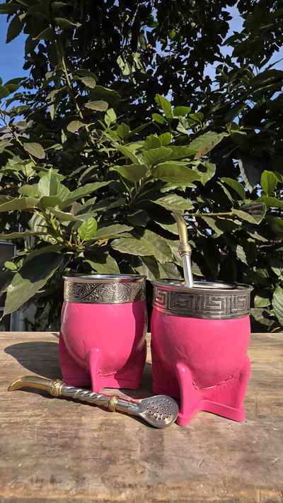 MATE IMPERIAL DE CALABAZA (rosa)
