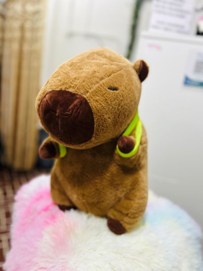 Peluche Capibara Con Manta Frazada Premium 45 Cm