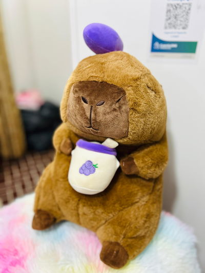 Peluche Capibara Con Manta Frazada Premium 45 Cm