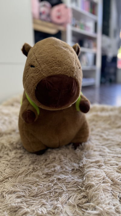 Peluche capybara con manta