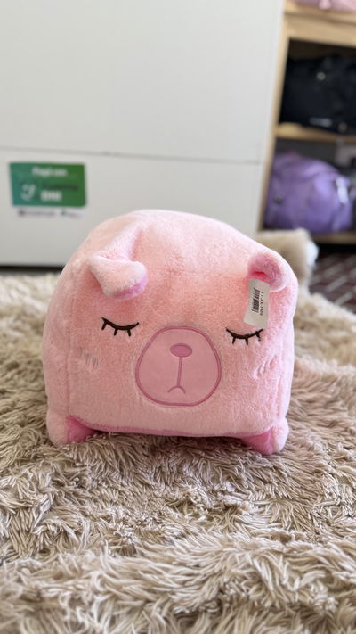 Peluche capybara Rosa 