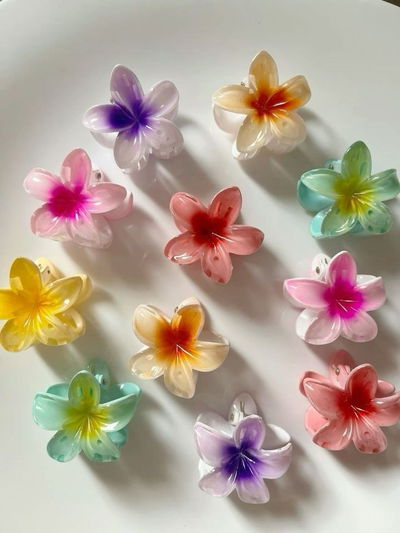 Broches hawaianos grandes 