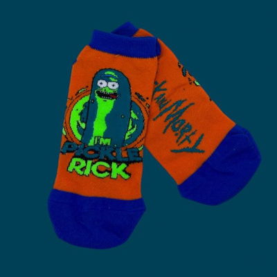 Soquete Pickle Rick And Morty.