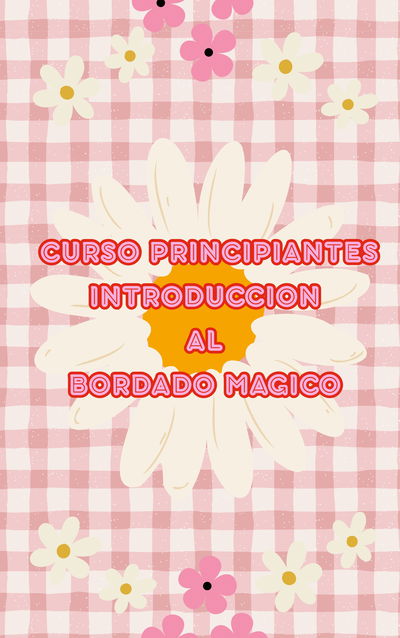 Curso principiantes Bordado chino / PUNCH NEEDLE