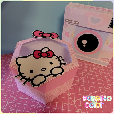 Caja Hexagonal con Visor 215