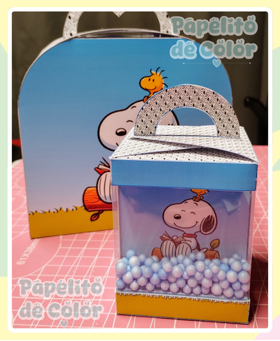 Caja Rectangular con Manija y shaker Escenario 2  Tamaños 147