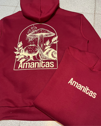 Buzo Fungi Amanitas