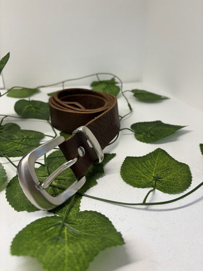 CINTOS CUERO CON HEBILLA