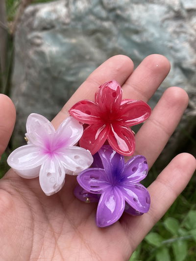 Traba mini de Flor Hawaiana 