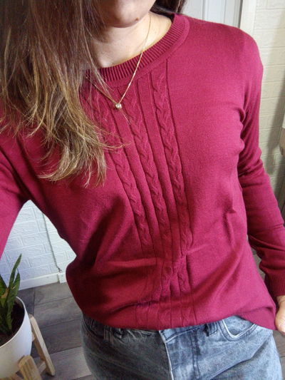 Sw delfi bremer