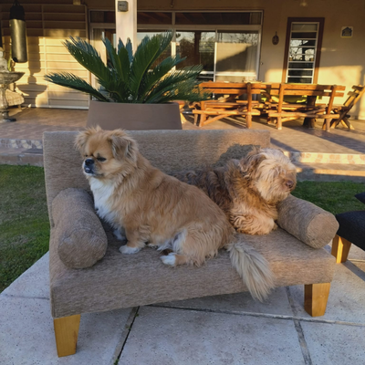 Sillon P/Mascotas Tela Antidesgarro