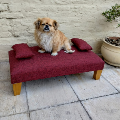 Camastro P/Mascotas Tela Antidesgarro