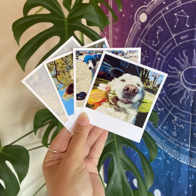 Polaroids grandes