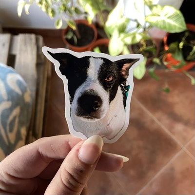 Stickers Brillosos (plancha)