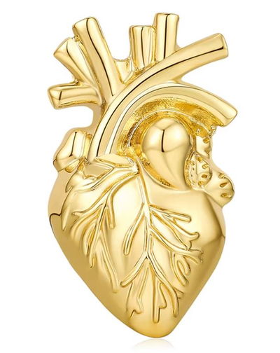 Pin Cardiologia corazon