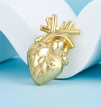 Cardiologia