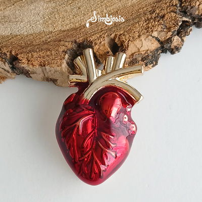 Pin Cardiologia corazon