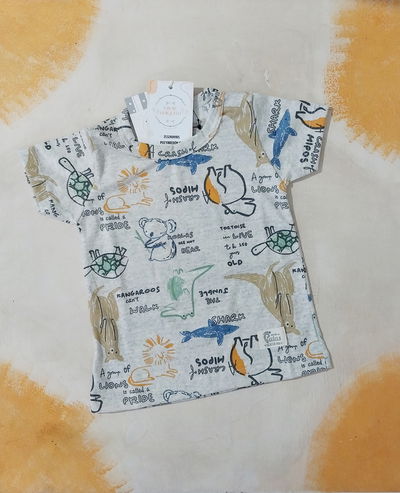 REMERA ÁFRICA
