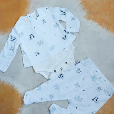 CONJUNTO SELVA