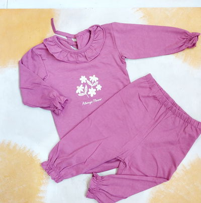 CONJUNTO MORADO