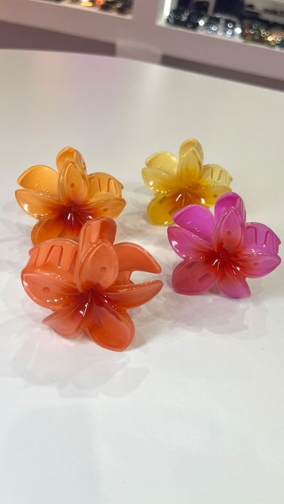 Broche Hawai