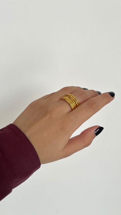 Anillo nido