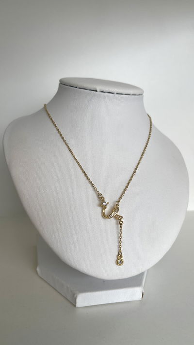 Collar astra