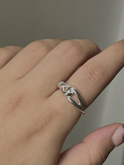 Anillo lazo 