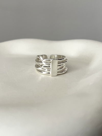 Anillo frame