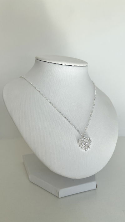 Collar lia