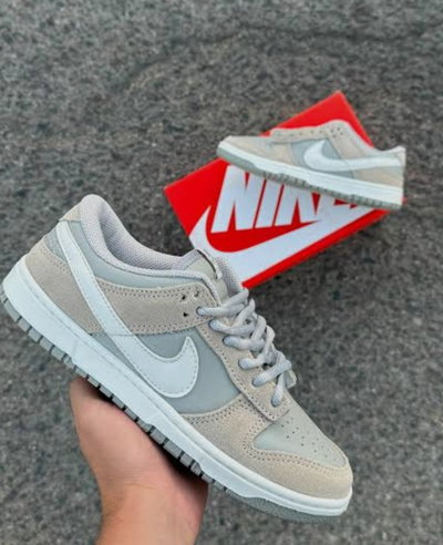 Nike SB Dunk Pro Grey