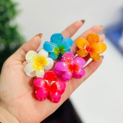 Broche mariposa🦋✨ (chico)