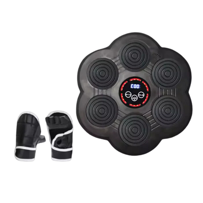  Máquina de Boxeo Inteligente STC- 13