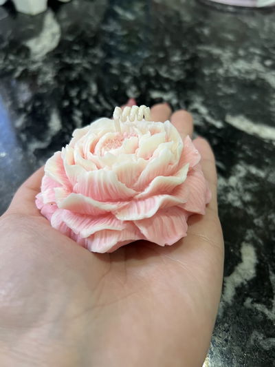 Peonia Noctara 