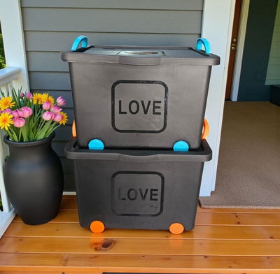 Caja love 35lts con tapa, trabas y ruedas