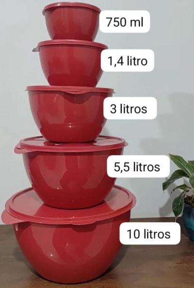 Set x5 bowls con tapa