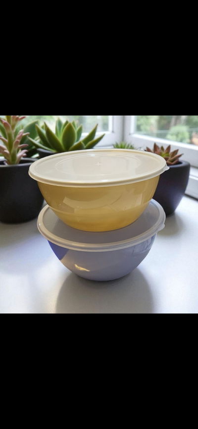 Ensaladera irrompible mediana con tapa