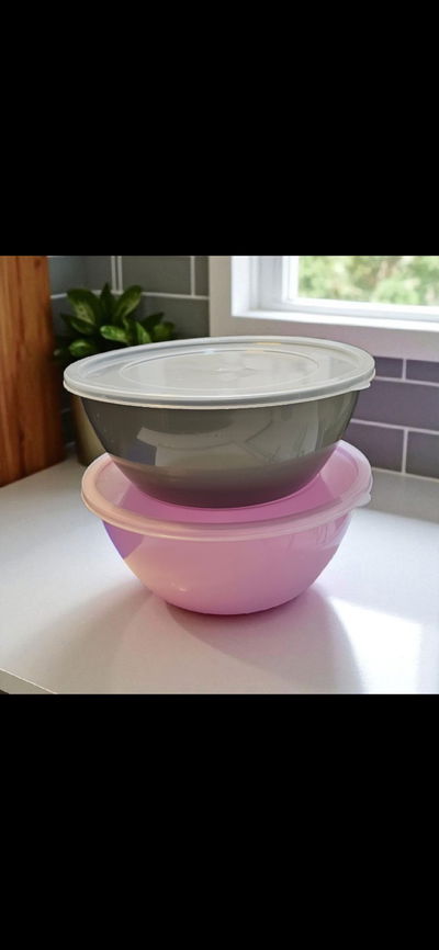 Ensaladera irrompible grande con tapa 