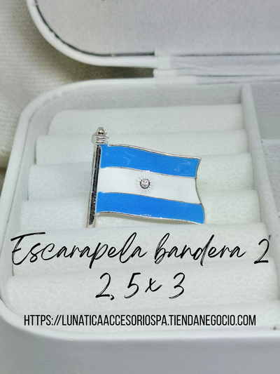 Escarapela bandera 2