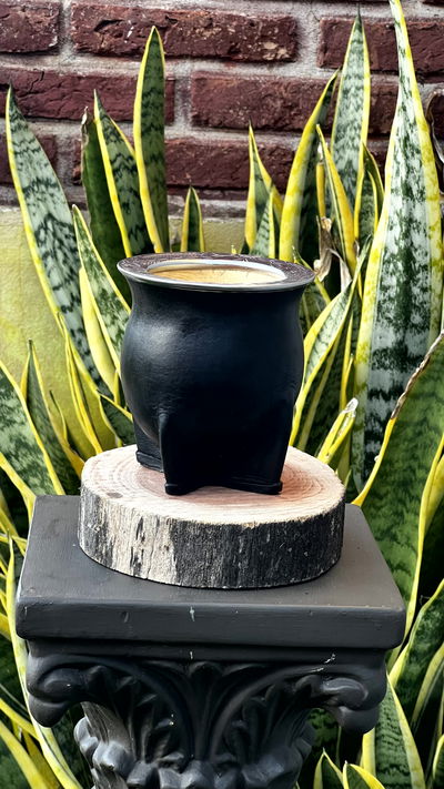 CAMIONERO DE ACERO (CUERO LISO)