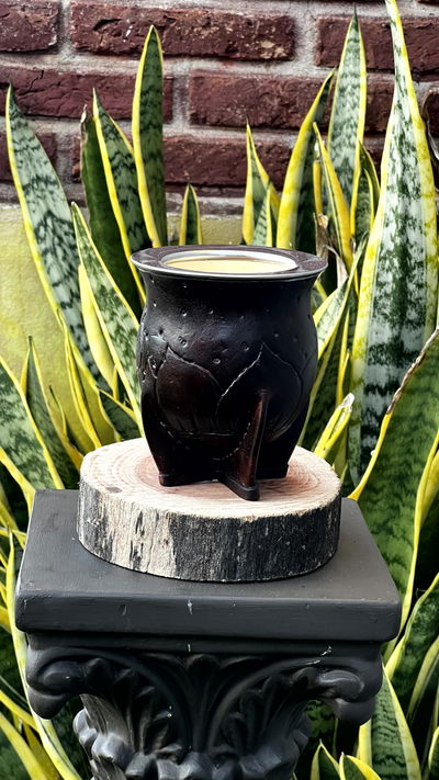 CAMIONERO DE ACERO (CUERO REPUJADO) VIROLA LISA