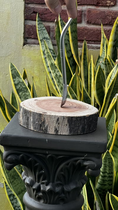 BOMBILLA DE ACERO INOXIDABLE PICO DE LORO