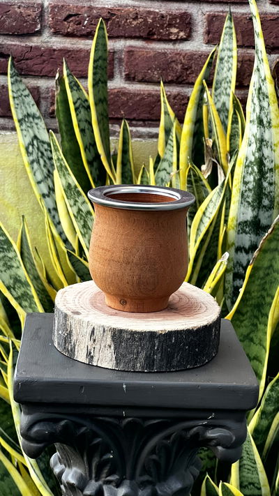 CAMIONERO DE ACERO (ALGARROBO)