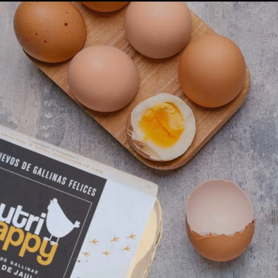 Huevos de gallinas libres – ½ docena