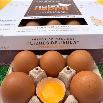 Huevos de gallinas libres – Maple x30