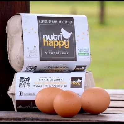 Huevos de gallinas libres – 1 docena