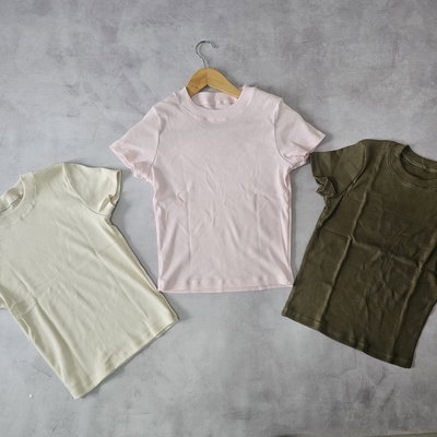 REMERA BÁSICA MORLEY  (varios colores)