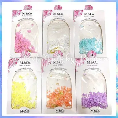 Flores Sakura sobrecito