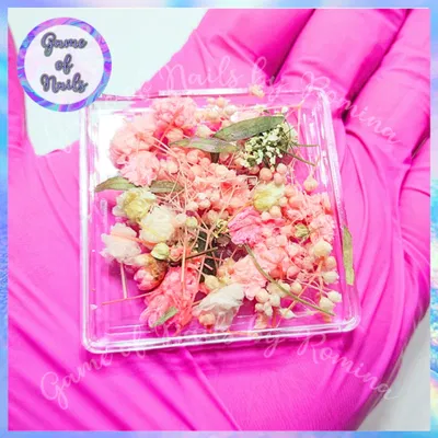 Mini box flores secas PINK
